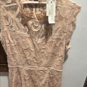 Sans Souci Lace Dress in Light Beige JUNIORS XL